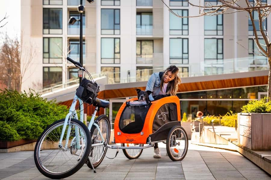 Victoria City Highlights Bike Tour - Castle Hoods & Legends - Fernwood and Cook Street Village: getting out of the postcard bubble