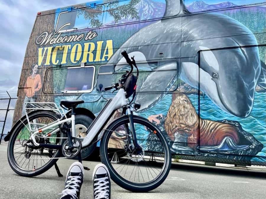 Victoria City Highlights Bike Tour - Castle Hoods & Legends - Getting started at The Pedaler: bikes, fitting, and safety rhythm