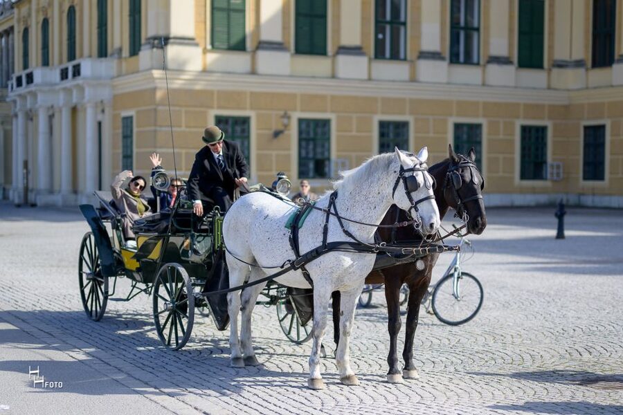 Vienna: Carriage Ride Through Schönbrunn Palace Gardens - Key things I’d focus on