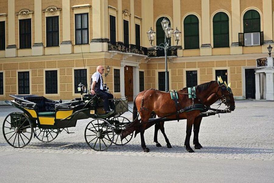 Vienna: Carriage Ride Through Schönbrunn Palace Gardens - A 30-Minute Fiaker Ride That Starts in Front of Schönbrunn