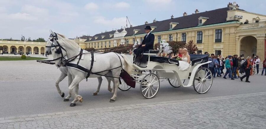 Vienna: Carriage Ride Through Schönbrunn Palace Gardens - The Palm House and Orangerie: Garden Details Without the Footwork
