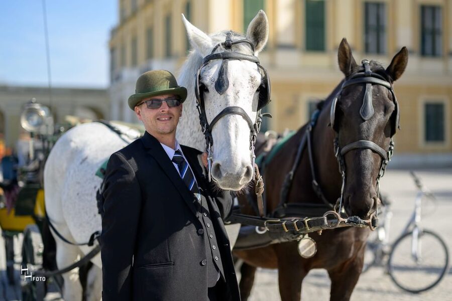 Vienna: Carriage Ride Through Schönbrunn Palace Gardens - Who This Carriage Ride Is Best For