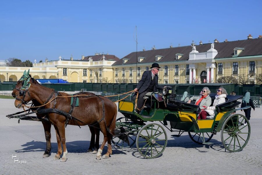 Vienna: Carriage Ride Through Schönbrunn Palace Gardens - A Few Tips So You Get the Most Out of Your Seat