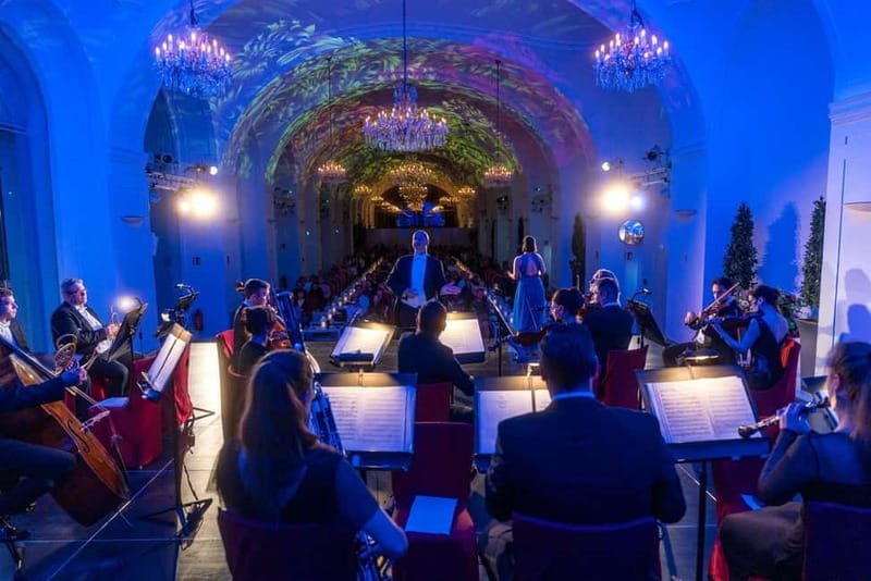 Vienna: Dinner & Concert at Schönbrunn Palace - VIP Ticket Perks: When Priority Access Actually Helps