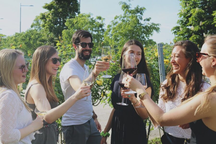 Vienna: Schönbrunn Palace Entry Ticket and Wine Tasting - Audio Guide Power: How the 60 Minutes Shapes Your Visit