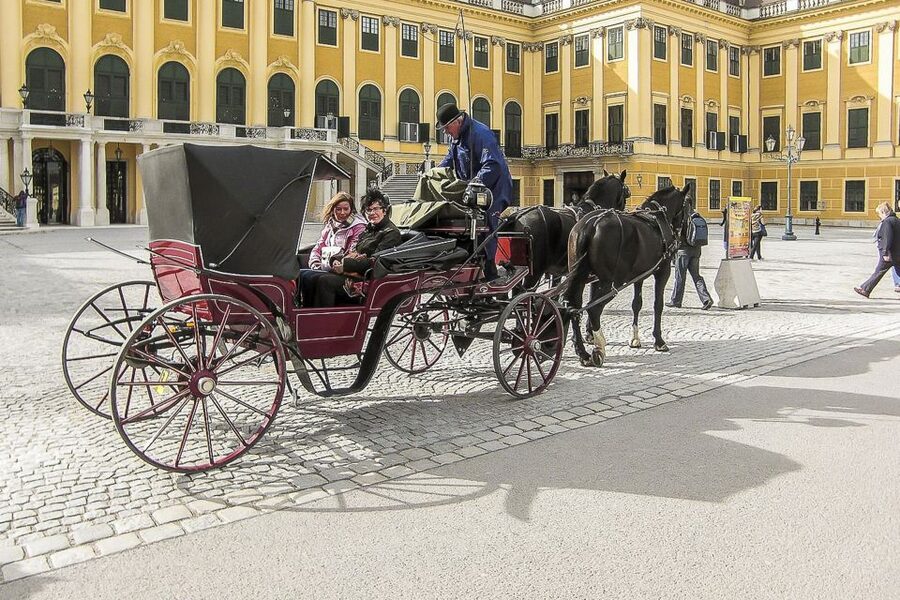 Vienna: Schönbrunn Palace & Gardens Skip-the-Line Tour - Gardens after the palace: a 1-hour walk where you can breathe