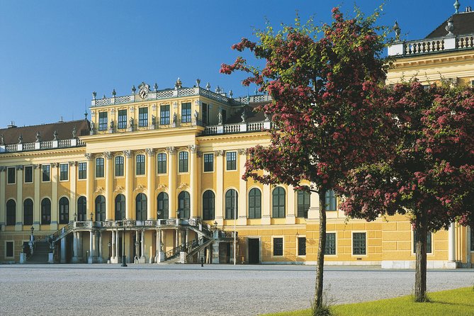 Vienna: Skip the Line Schönbrunn Palace and Gardens Guided Tour - Why Schönbrunn feels easier with a real guide