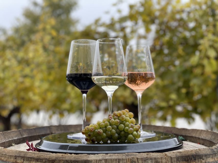 Vienna: Wine Tasting at Schönbrunn Palace - Where You Start: Restaurant Joseph II, Bar Check-In