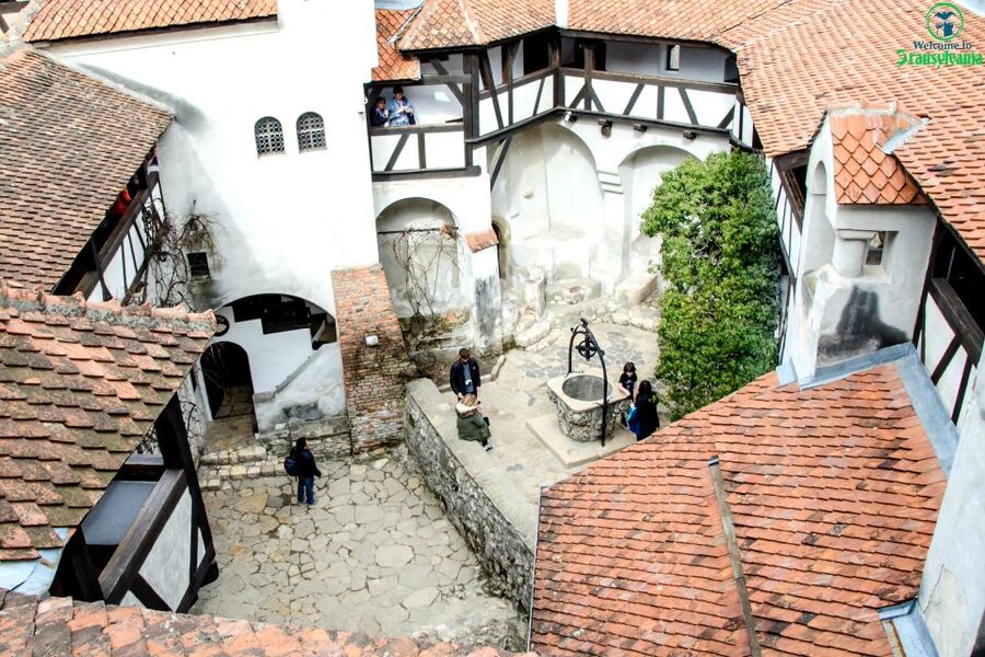 Visit Bear Sanctuary and Bran Castle from Brasov - Quick hits before you go