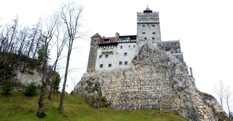 Visit Bear Sanctuary and Bran Castle from Brasov - LiBEARty Bear Sanctuary in Zărnești: What 100+ Bears Mean for Your Visit