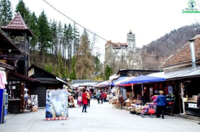 Visit Bear Sanctuary and Bran Castle from Brasov - Getting to Zărnești and Bran: The Van, the Timing, and the Comfort