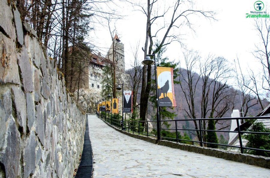 Visit Bear Sanctuary and Bran Castle from Brasov - What to Bring (and What to Expect Inside the Day)