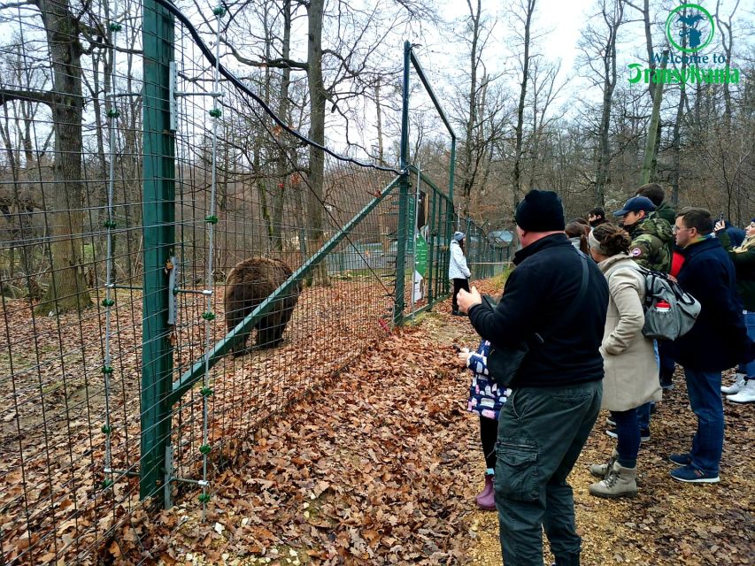 Visit Bear Sanctuary and Bran Castle from Brasov - FAQ