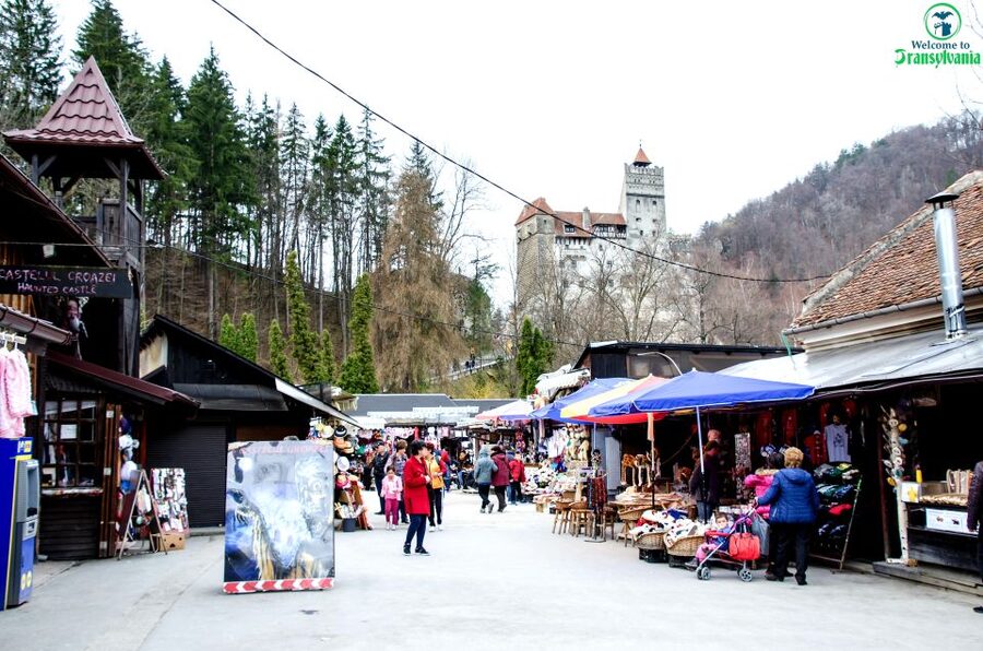 Visit Bear Sanctuary and Bran Castle from Brasov - Getting to Zărnești and Bran: The Van, the Timing, and the Comfort