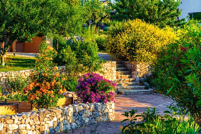 Visit Klis fortress GOT & Olive museum Klis - How to get between Stella Croatica and Klis Fortress without stress