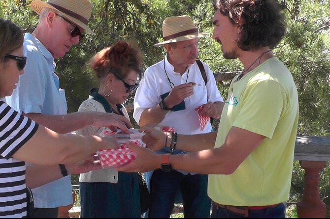 ★ Walking Tour of Old Nice and Castle Hill - Meeting at Fontaine du Soleil: the best kind of start