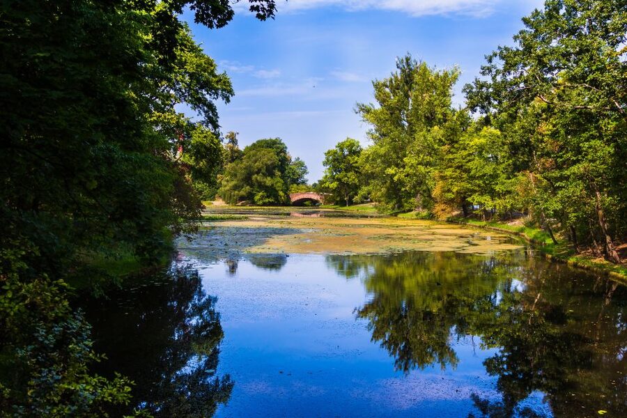 Warsaw Private Wilanow Palace & Garden Tour - Skip-the-Line and Transportation: Comfort That Protects Your Sightseeing Time