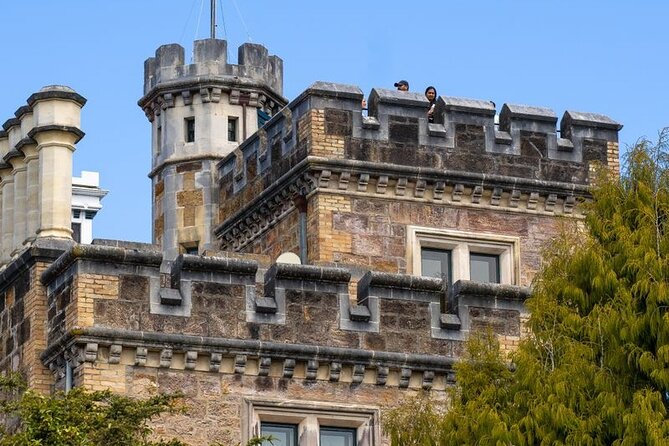 Water Taxi and Shuttle to Larnach Castle - The return down and drop-off in Dunedin city: your second half starts fast