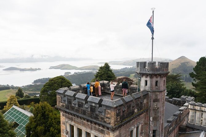 Water Taxi and Shuttle to Larnach Castle - Dunedin on your own: what to do with the free time you’re given